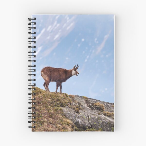 Item preview, Mountain Chamois in High Tatras National Park designed and sold by Lukasz Szczepanski.