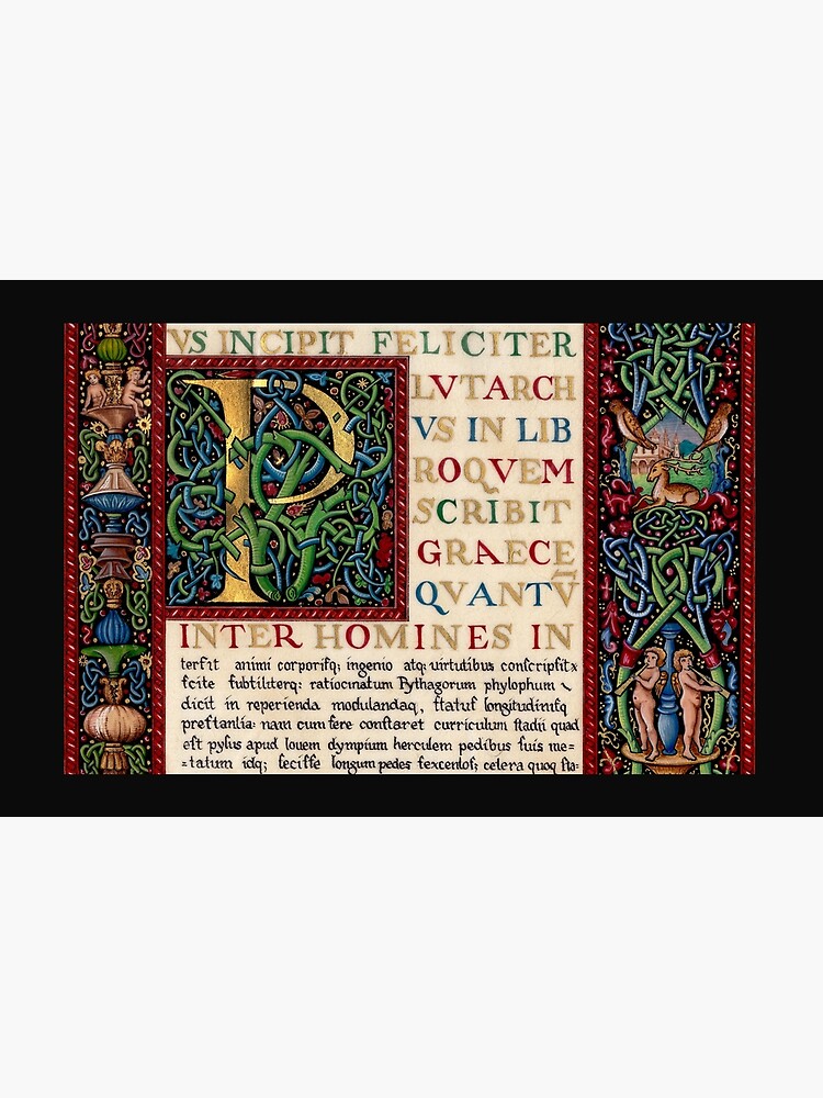 Renaissance manuscript by TCilluminate