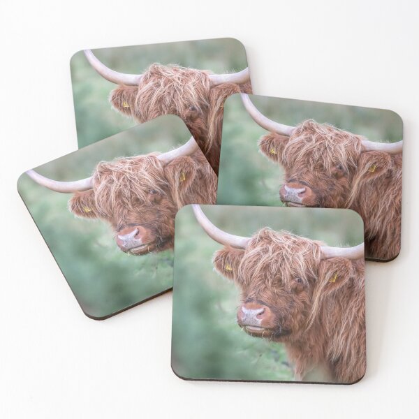 Item preview, Scottish cow close up designed and sold by NatureSight.