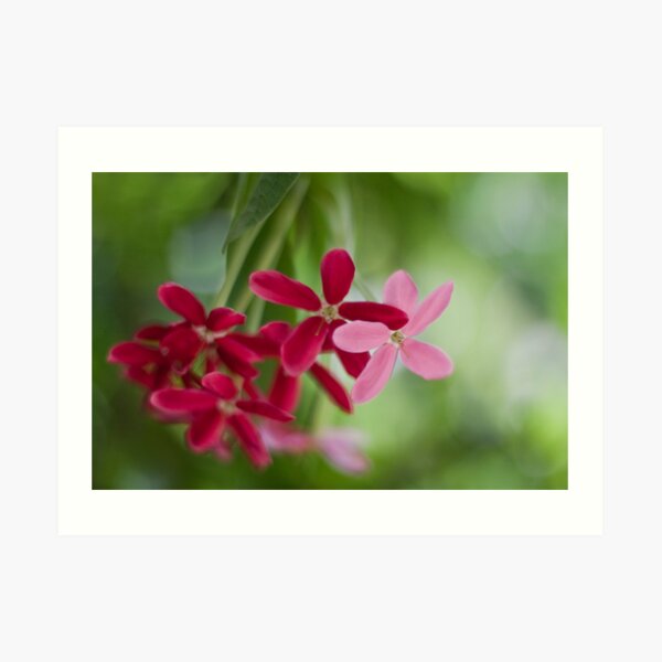 Tender touch Art Print