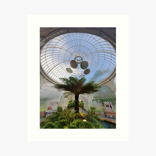Glasgow Scotland Botanic Gardens Art Print