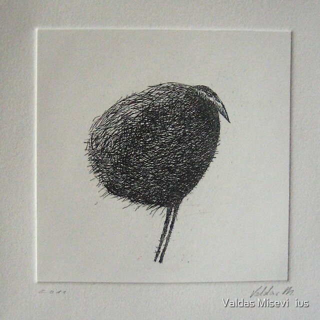"Bird etching" by Valdas Misevičius Redbubble
