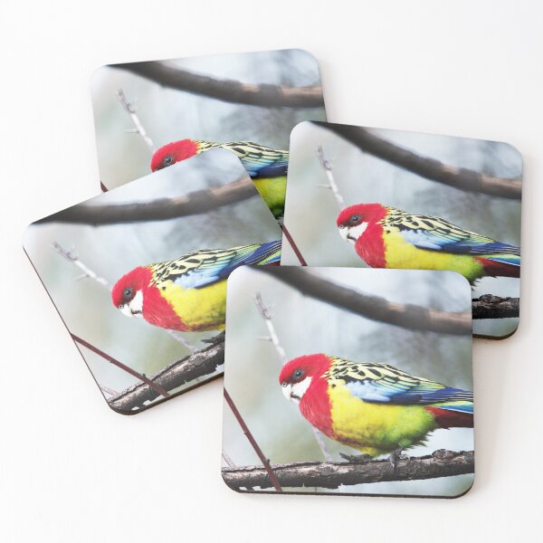 Item preview, Colourful Rosella designed and sold by imaginethis.