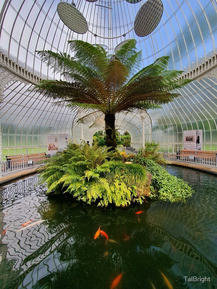 "Glasgow Botanic Gardens" Poster for Sale by TalBright Redbubble