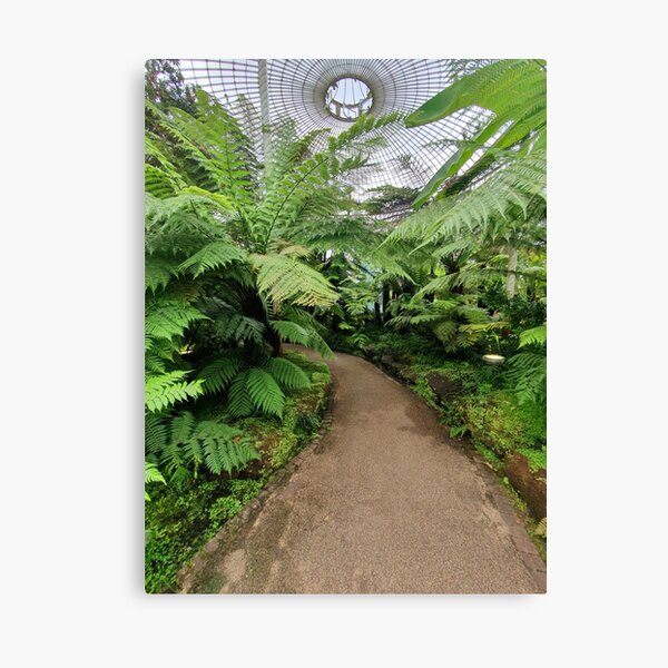 Glasgow Botanic Gardens Canvas Print