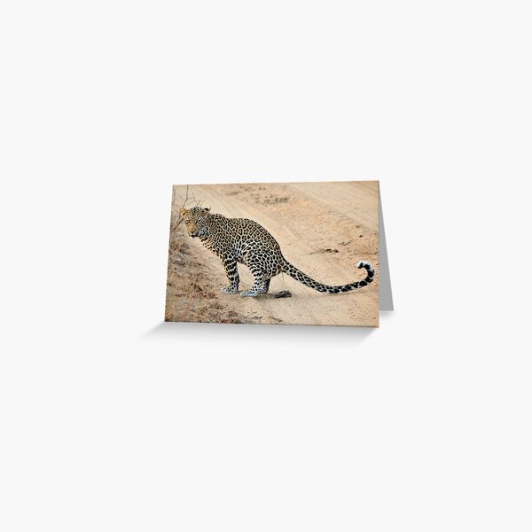 Leopard doing business Greeting Card