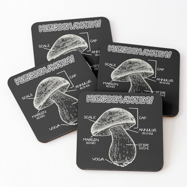 Item preview, Anatomy of a Mellow Mushroom Hunting print designed and sold by sunnym79.