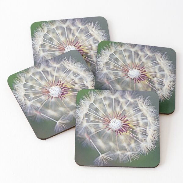 Item preview, Dandelion with 'Parachutes' Dispersing designed and sold by imaginethis.