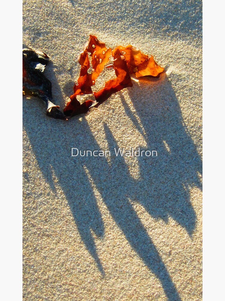 Ragged by DuncanW
