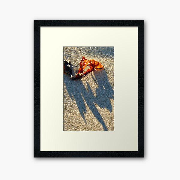 Ragged Framed Art Print