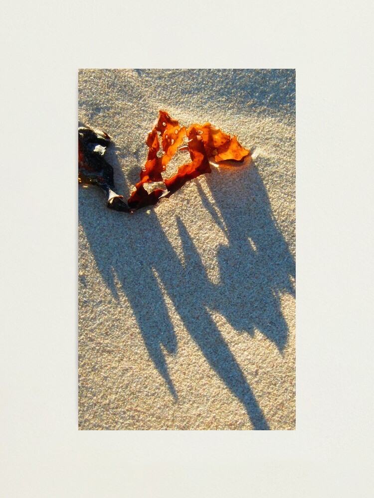 Alternate view of Ragged Photographic Print
