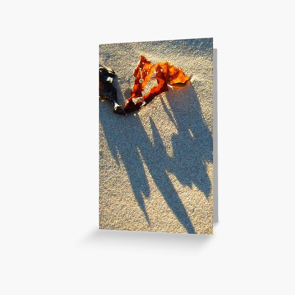 Ragged Greeting Card