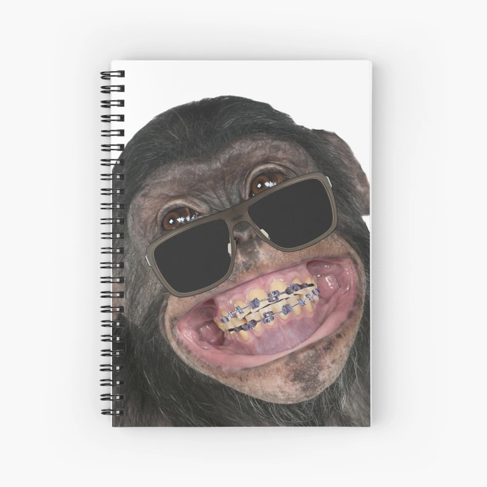 Funny Monkey Meme Cool: Notebook Planner