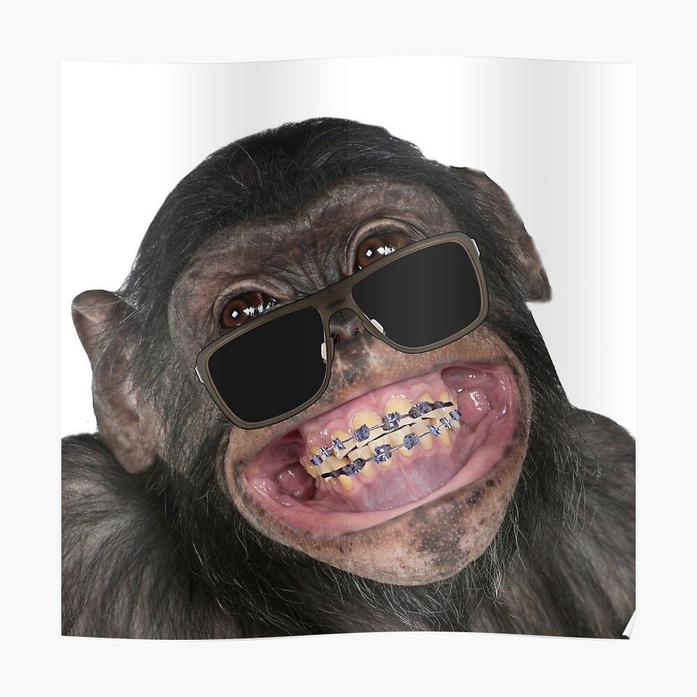 Sticker Monkey Singe Rigolo Comique Cool Drole Par Hopeandshop Redbubble