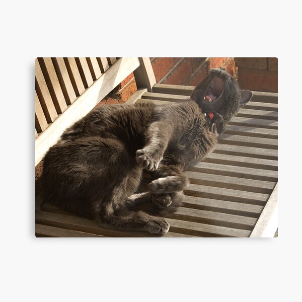 Life is sooooo tiresome! Metal Print