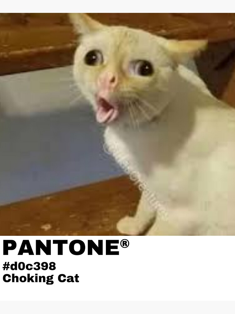 "PANTONE Choking Cat" Sticker for Sale by imasleeporami Redbubble