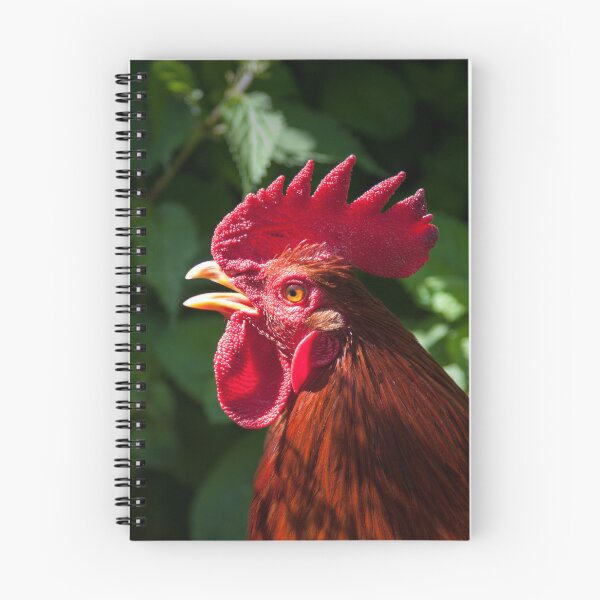 Item preview, Red cockerel with open beak. designed and sold by LindaCooke.