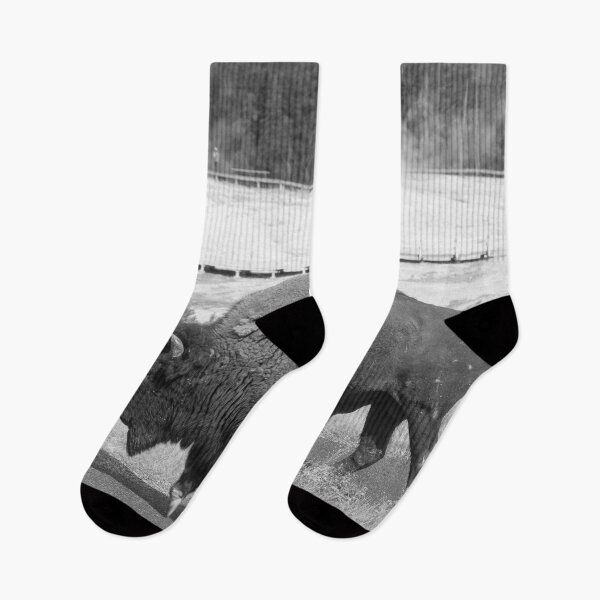 Item preview, Buffalo in Black and White designed and sold by Allen Penton.