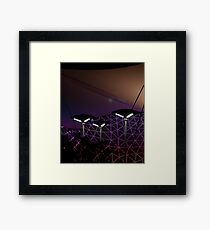 Take me to your leader... Framed Print