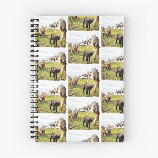 Item preview, Open Goat Bar Blues designed and sold by Kim Taylor.