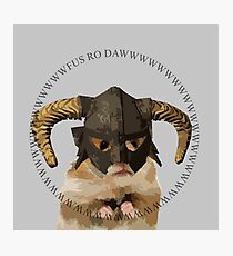 Fus Roh Dawwwwwwww Photographic Print