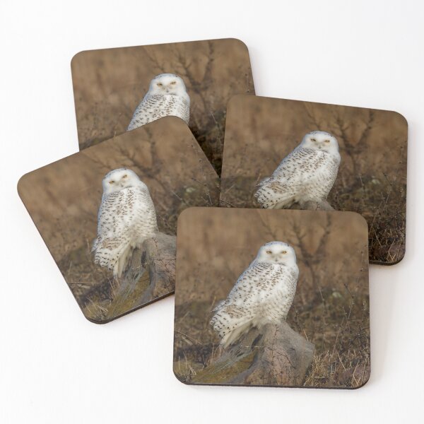 Item preview, Snowy Owl designed and sold by Michel (Mike) Soucy.