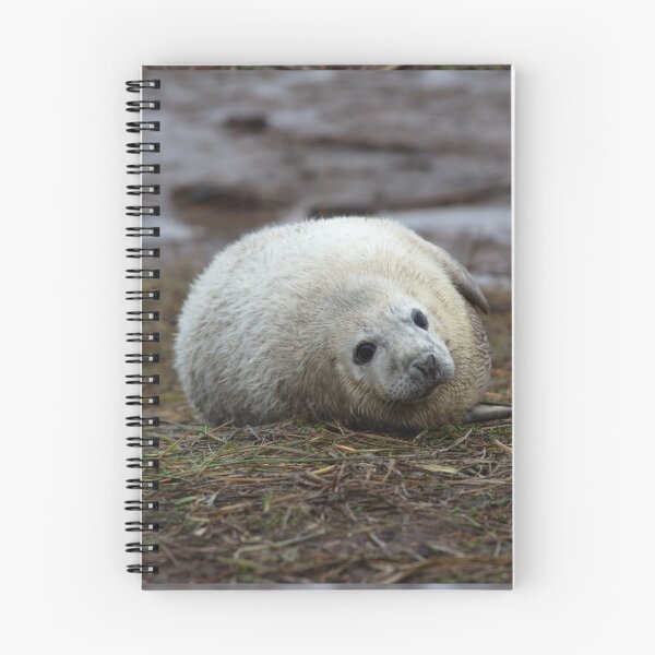 Item preview, baby seal designed and sold by Sam Mitchell.