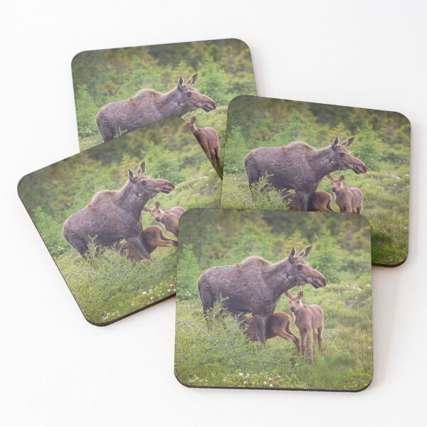 Item preview, Feeding Time designed and sold by Michel (Mike) Soucy.