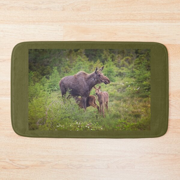 Item preview, Feeding Time designed and sold by Michel (Mike) Soucy.