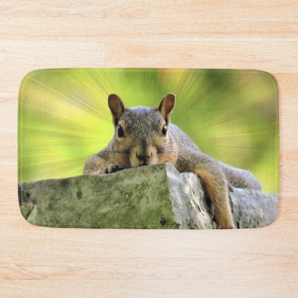 Item preview, Relaxed Squirrel designed and sold by Frankie Cat Photography.