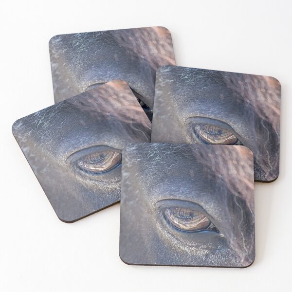 Item preview, Iceland. Reykjavik. Zoo. Icelandic Horse. An Eye. Close Up. designed and sold by vadim19.