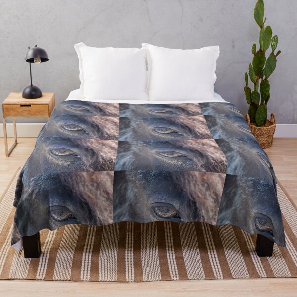 Item preview, Iceland. Reykjavik. Zoo. Icelandic Horse. An Eye. Close Up. designed and sold by vadim19.