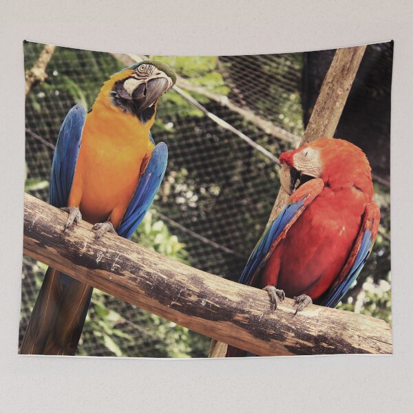 Item preview, couple of macaws photo designed and sold by MendesMay.