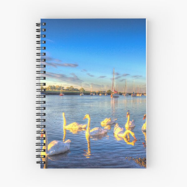 Item preview, Sunset Swans designed and sold by Londonimages.