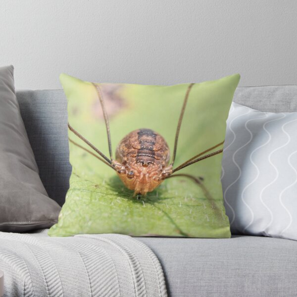 long leg pillow