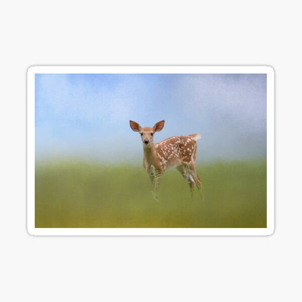 Lil' Fawn Sticker