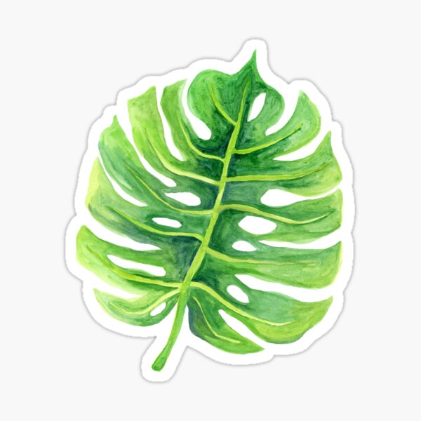 Tropical Leaf Sticker