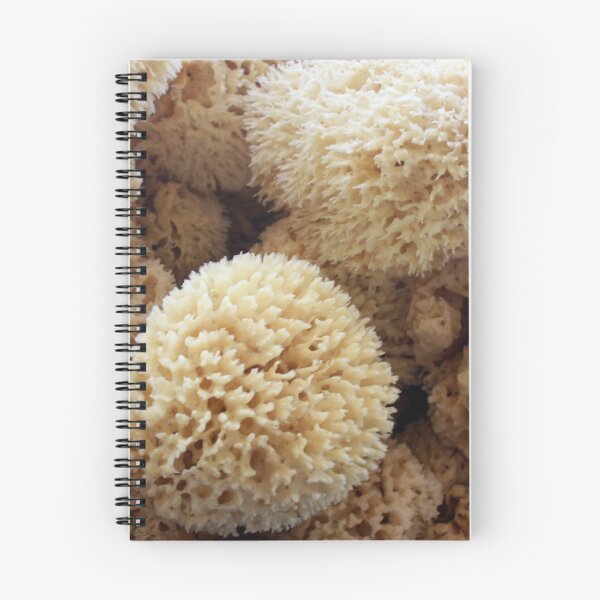 Item preview, Natural Sponges ~ Tones and Textures designed and sold by AuntDot.