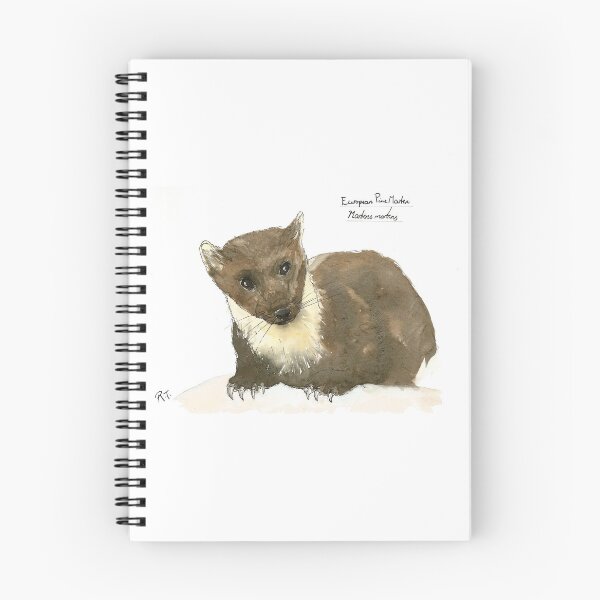 Item preview, British Pine Marten designed and sold by skeletonotes.