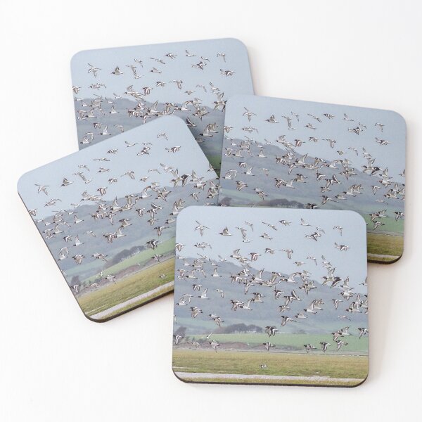 Item preview, Oystercatchers designed and sold by mikebov.