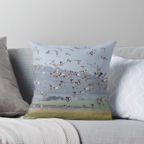 Item preview, Oystercatchers designed and sold by mikebov.