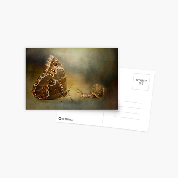 Brian asked the butterfly...... Postcard