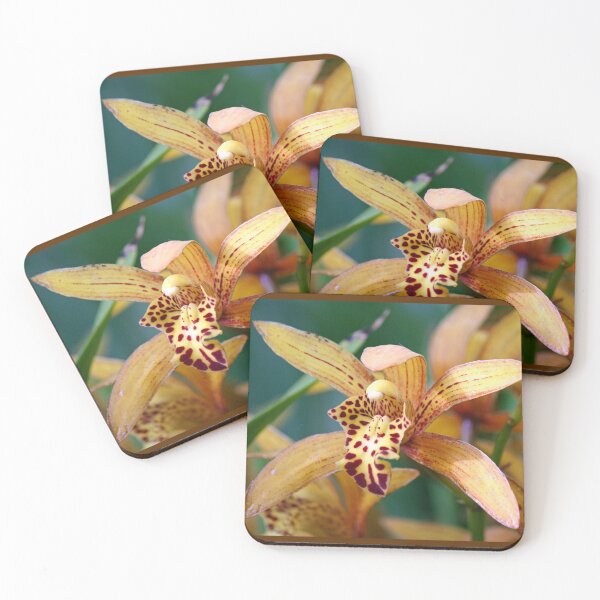Item preview, Autumn Orchid Solo designed and sold by WalnutHill.