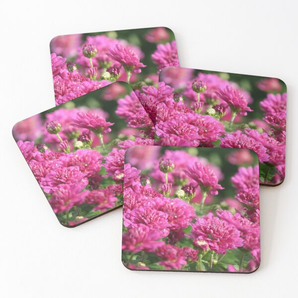 Item preview, Where has summer gone? designed and sold by WalnutHill.