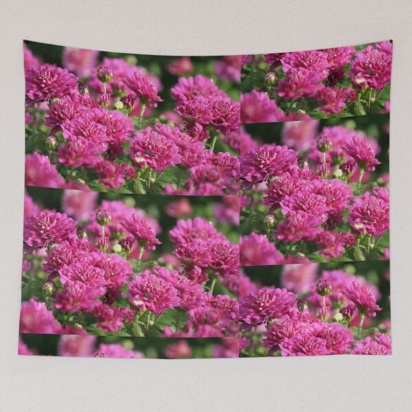 Item preview, Where has summer gone? designed and sold by WalnutHill.