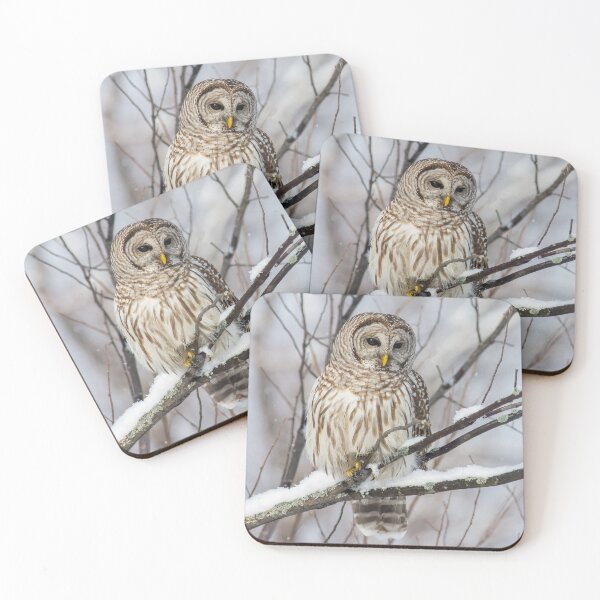 Item preview, Barred Owl on  Snowy Branch designed and sold by Michel (Mike) Soucy.