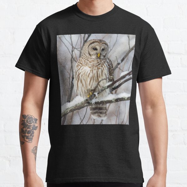 Barred Owl on Snowy Branch Classic T-Shirt