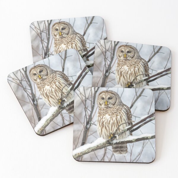 Item preview, Barred Owl  designed and sold by Michel (Mike) Soucy.