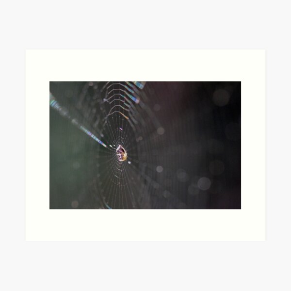 Item preview, Little Spider and Web 2 designed and sold by Gary Horner.