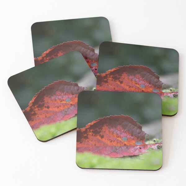 Item preview, Leaf and moss designed and sold by ArboreSciences.